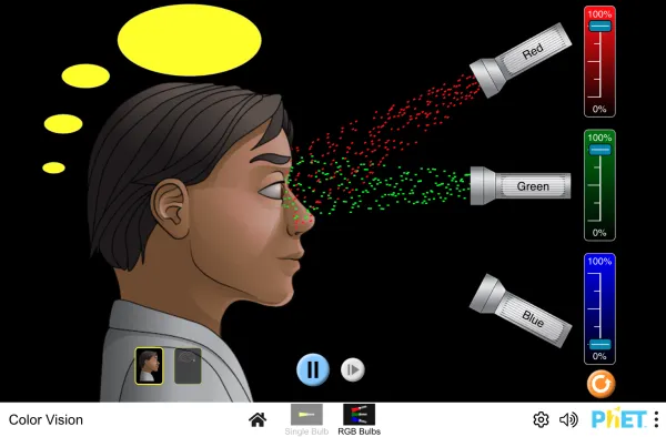 Color Vision Illustration
